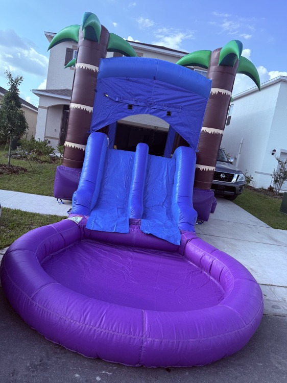 Palm Tree Oasis Bounce w/ Water Slide