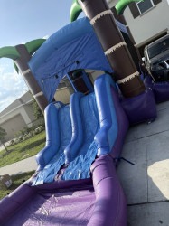 IMG 2930 1748134479 Palm Tree Oasis Bounce w/ Water Slide