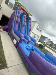 IMG 5158 1759069814 22ft - Purple & Blue Tropical