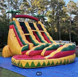 19ft Dual Lane Waterslide